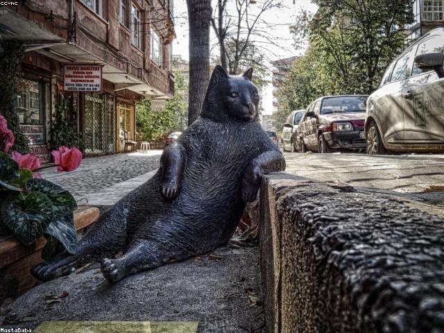 Körpə beşiyi — yeni